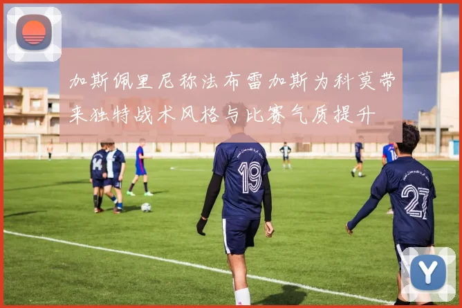 加斯佩里尼称法布雷加斯为科莫带来独特战术风格与比赛气质提升